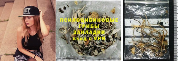 дмт Алзамай