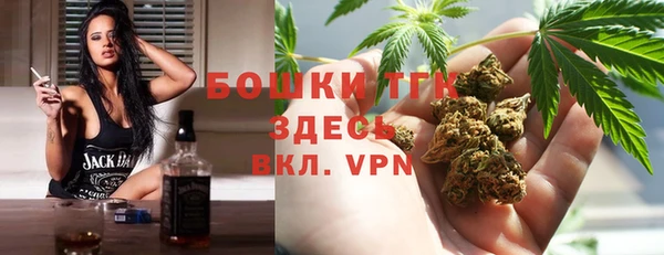 дмт Алзамай