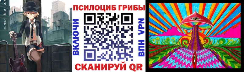 продажа наркотиков  Салехард  Галлюциногенные грибы Psilocybe 